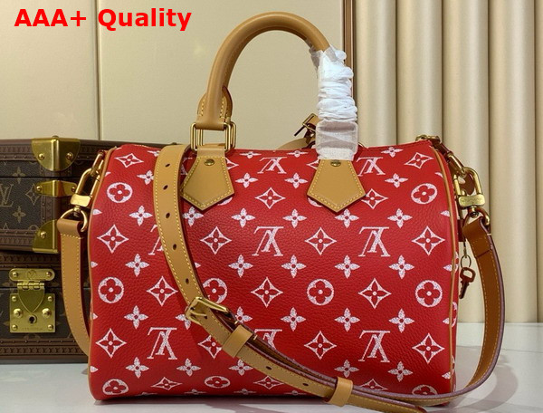 Louis Vuitton Speedy P9 Bandouliere 30 Bag in Red Calf Leather M14067 Replica
