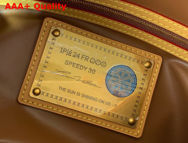 Louis Vuitton Speedy P9 Bandouliere 30 Bag in Red Calf Leather M14067 Replica