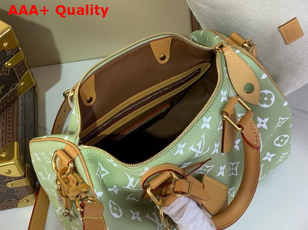 Louis Vuitton Speedy P9 Bandouliere 30 Frozen Lime Calfskin with a Monogram Print M14064 Replica