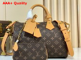 Louis Vuitton Speedy P9 Bandouliere 30 in Brown Monogram Leather Replica
