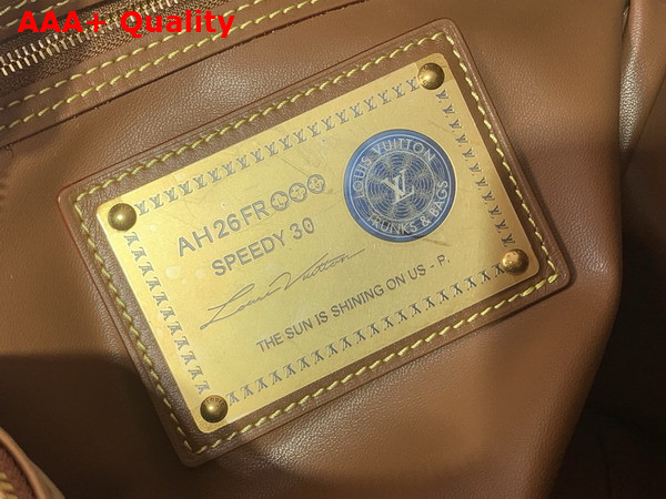 Louis Vuitton Speedy P9 Bandouliere 30 in Luxurious Brown Suede with a Debossed Monogram Pattern M29405 Replica