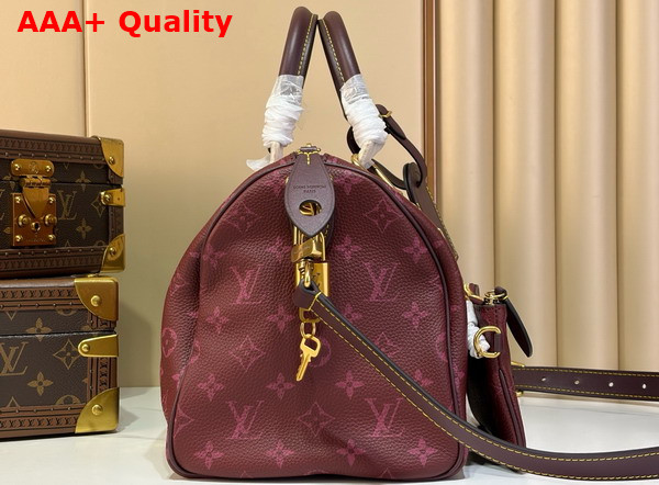 Louis Vuitton Speedy P9 Bandouliere 30 in Monogram Fig Calfskin Leather M2A417 Replica