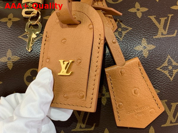Louis Vuitton Speedy Soft 30 Boho Monogram Tan N87212 Replica