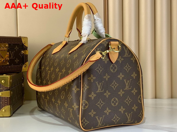 Louis Vuitton Speedy Soft 30 Lucky Monogram Greeen Coated Canvas M15107 Replica