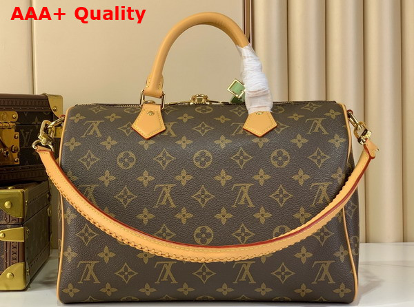 Louis Vuitton Speedy Soft 30 Lucky Monogram Greeen Coated Canvas M15107 Replica