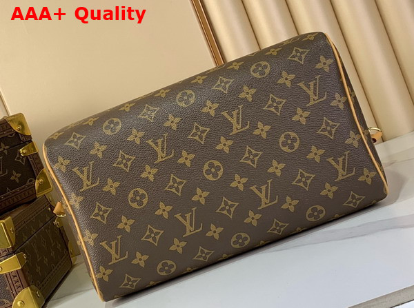 Louis Vuitton Speedy Soft 30 Lucky Monogram Greeen Coated Canvas M15107 Replica