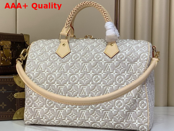 Louis Vuitton Speedy Soft 30 Monogram Embleme Peuplier M28479 Replica