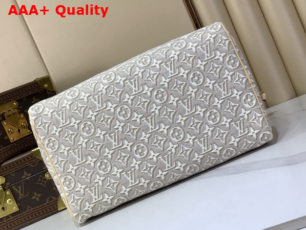 Louis Vuitton Speedy Soft 30 Monogram Embleme Peuplier M28479 Replica