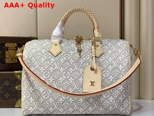 Louis Vuitton Speedy Soft 30 Monogram Embleme Peuplier M28479 Replica