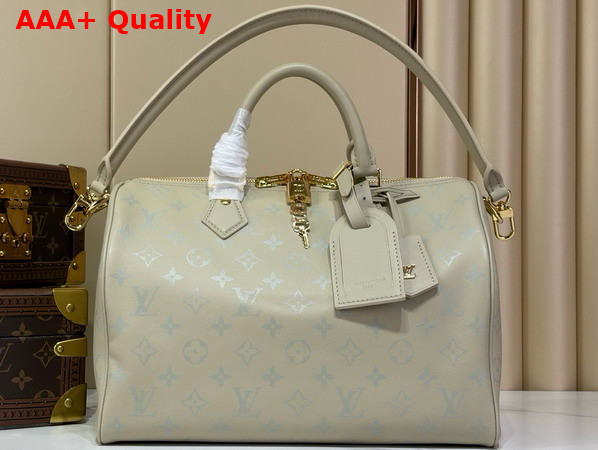 Louis Vuitton Speedy Soft 30 Private Sage Calfskin Leather M3A165 Replica