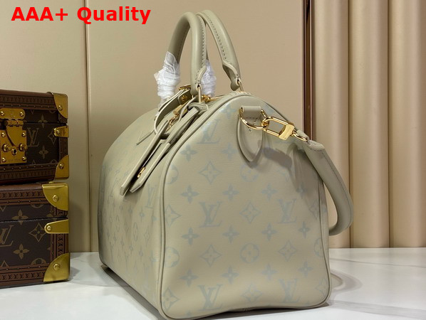 Louis Vuitton Speedy Soft 30 Private Sage Calfskin Leather M3A165 Replica