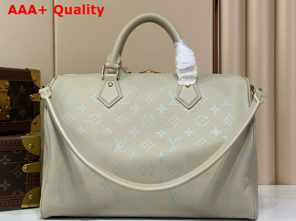 Louis Vuitton Speedy Soft 30 Private Sage Calfskin Leather M3A165 Replica