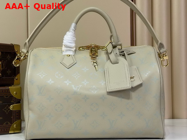 Louis Vuitton Speedy Soft 30 Private Sage Calfskin Leather M3A165 Replica