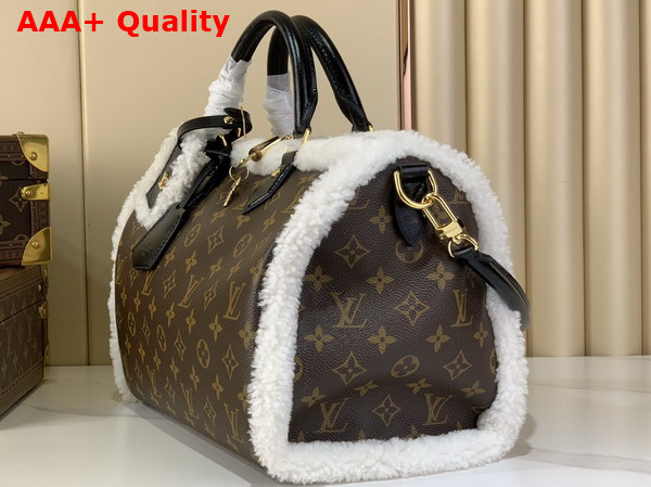 Louis Vuitton Speedy Soft 30 Teddy Monogram Shearling M26326 Replica