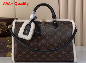 Louis Vuitton Speedy Soft 30 Teddy Monogram Shearling M26326 Replica