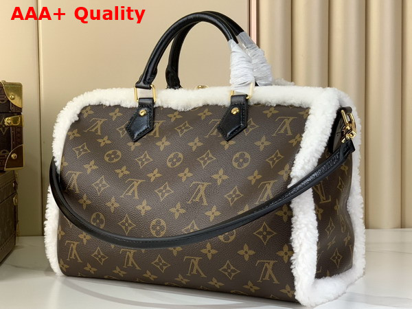 Louis Vuitton Speedy Soft 30 Teddy Monogram Shearling M26326 Replica