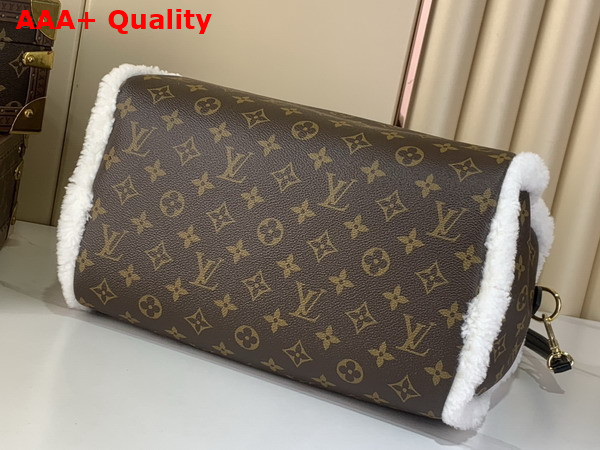 Louis Vuitton Speedy Soft 30 Teddy Monogram Shearling M26326 Replica