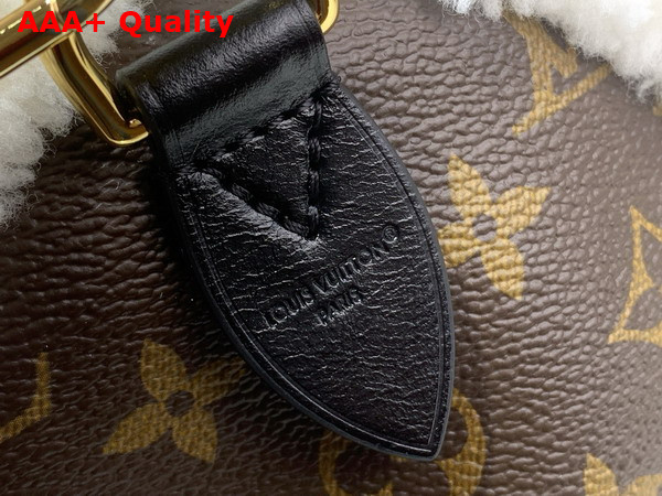 Louis Vuitton Speedy Soft 30 Teddy Monogram Shearling M26326 Replica
