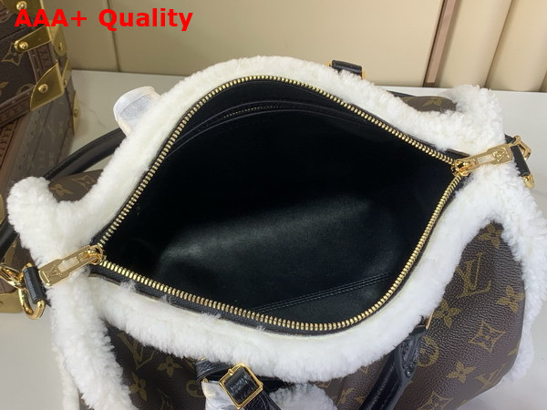 Louis Vuitton Speedy Soft 30 Teddy Monogram Shearling M26326 Replica
