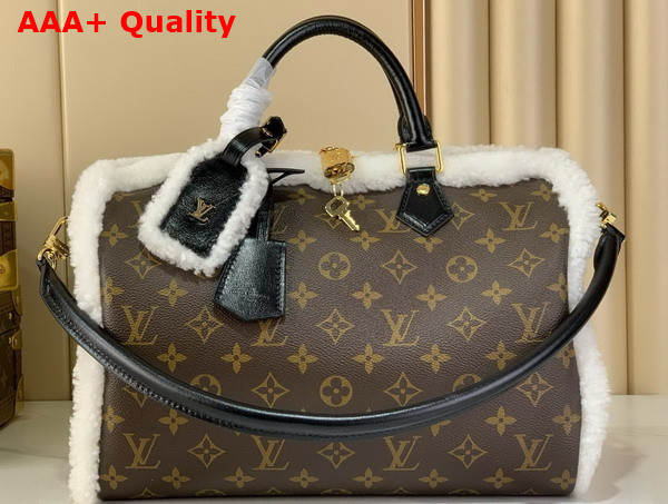 Louis Vuitton Speedy Soft 30 Teddy Monogram Shearling M26326 Replica