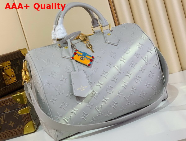 Louis Vuitton Speedy Soft 30 in Cloud Gray Calfskin Leather with Monogram Bold Pattern M25670 Replica