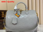 Louis Vuitton Speedy Soft 30 in Cloud Gray Calfskin Leather with Monogram Bold Pattern M25670 Replica