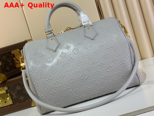 Louis Vuitton Speedy Soft 30 in Cloud Gray Calfskin Leather with Monogram Bold Pattern M25670 Replica