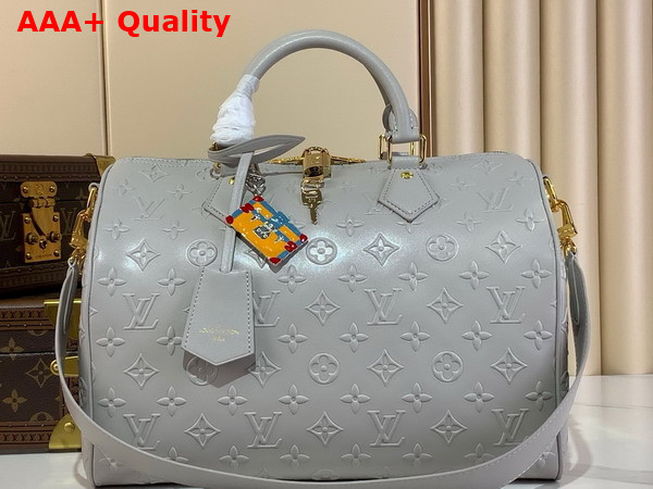 Louis Vuitton Speedy Soft 30 in Cloud Gray Calfskin Leather with Monogram Bold Pattern M25670 Replica