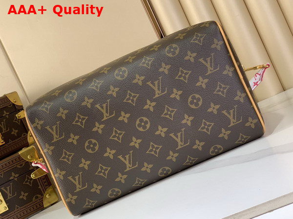 Louis Vuitton Speedy Soft 30 in Monogram Orange Coated Canvas with a Vibrant Nylon Pouch M27512 Replica