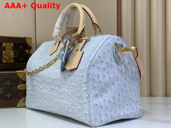Louis Vuitton Speedy Soft 30 in Pale Blue Ostrich Leather Replica