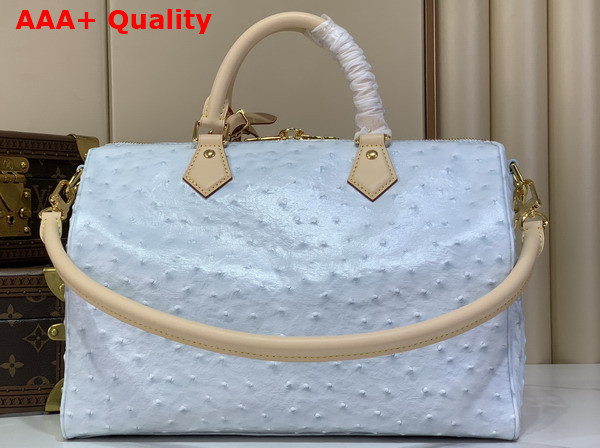 Louis Vuitton Speedy Soft 30 in Pale Blue Ostrich Leather Replica