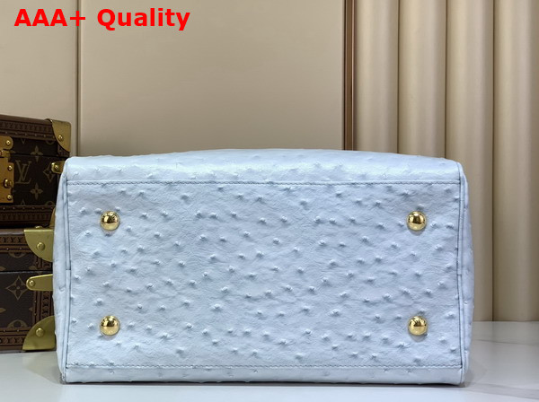 Louis Vuitton Speedy Soft 30 in Pale Blue Ostrich Leather Replica