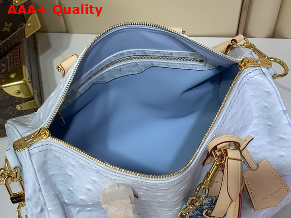 Louis Vuitton Speedy Soft 30 in Pale Blue Ostrich Leather Replica