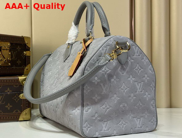 Louis Vuitton Speedy Soft 30 in Trianon Gray Suede Calfskin Leather M3A297 Replica