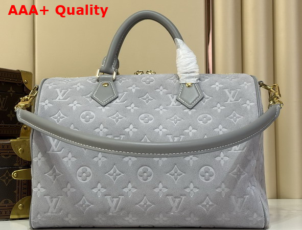 Louis Vuitton Speedy Soft 30 in Trianon Gray Suede Calfskin Leather M3A297 Replica