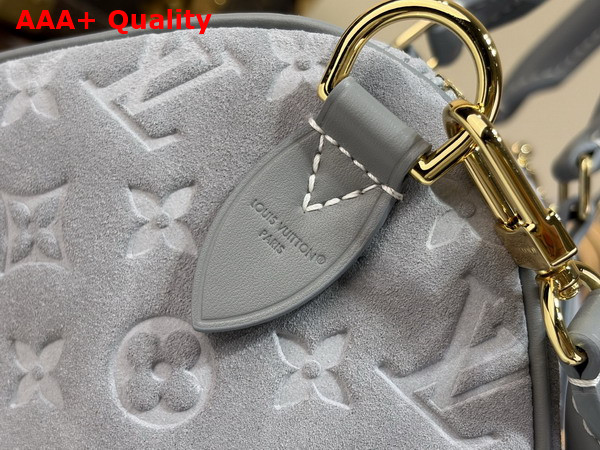 Louis Vuitton Speedy Soft 30 in Trianon Gray Suede Calfskin Leather M3A297 Replica