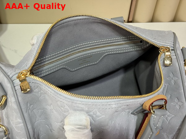 Louis Vuitton Speedy Soft 30 in Trianon Gray Suede Calfskin Leather M3A297 Replica