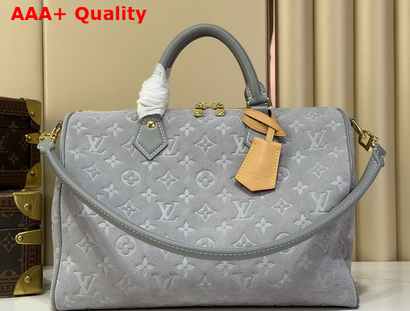 Louis Vuitton Speedy Soft 30 in Trianon Gray Suede Calfskin Leather M3A297 Replica