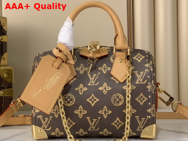 Louis Vuitton Speedy Trunk 20 Monogram Origine Ebene Coated Canvas M28102 Replica