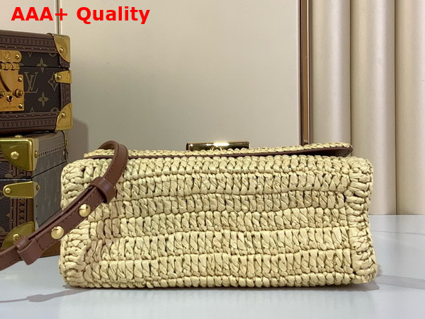 Louis Vuitton Twist PM Slim Brown Raffia M14309 Replica