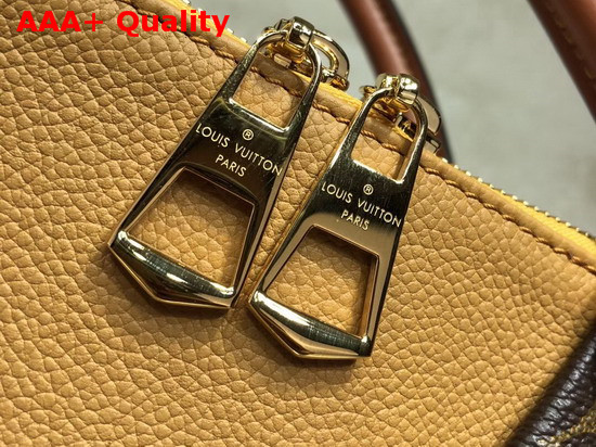 Louis Vuitton V Tote MM Monogram Safran M43951 Replica