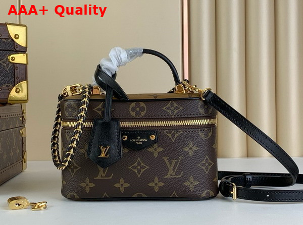 Louis Vuitton Vanity Chain Pouch Monogram Reverse Canvas M47125 Replica