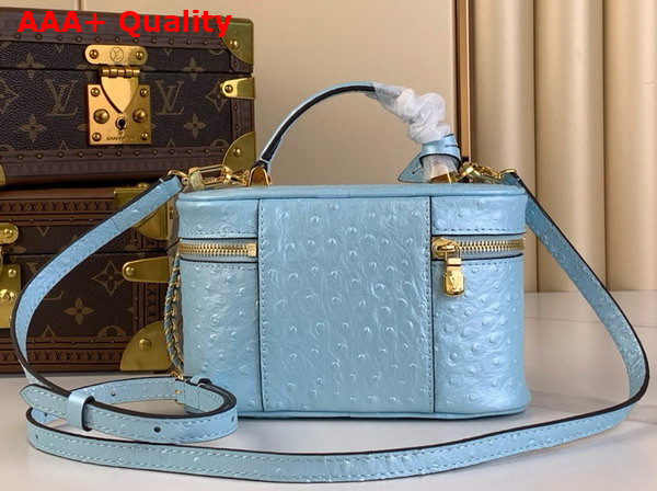Louis Vuitton Vanity Chain Pouch in Blue Glaze Ostrich Leather N85806 Replica