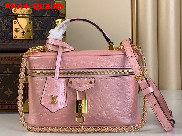 Louis Vuitton Vanity Chain Pouch in Pink Glaze Ostrich Leather N85820 Replica