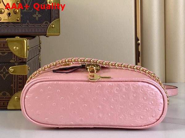 Louis Vuitton Vanity Chain Pouch in Pink Glaze Ostrich Leather N85820 Replica