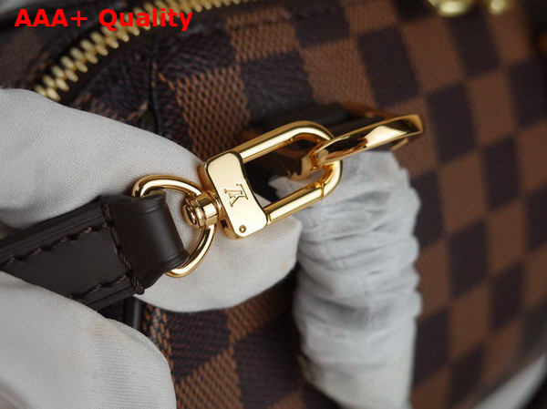 Louis Vuitton Vintage Bowling Bag in Damier Ebene Canvas Replica