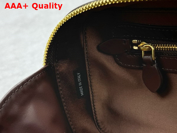 Miu Miu Arcadie Leather Bag in Briarwood 5BB148 Replica
