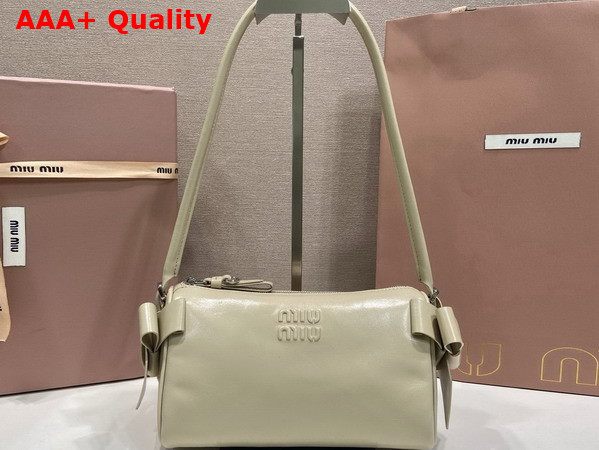 Miu Miu Shiny Leather Pouch in Travertine Stone 5NE029 Replica