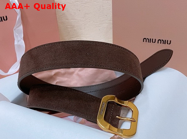 Miu Miu Suede and Suede Belt in Briarwood 5CC663 Replica