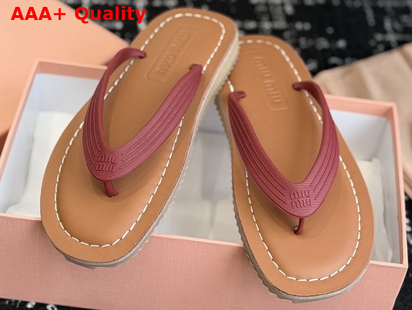 Miu Miu Thong Sandals in Amaranth Red TPU 5Y638E Replica